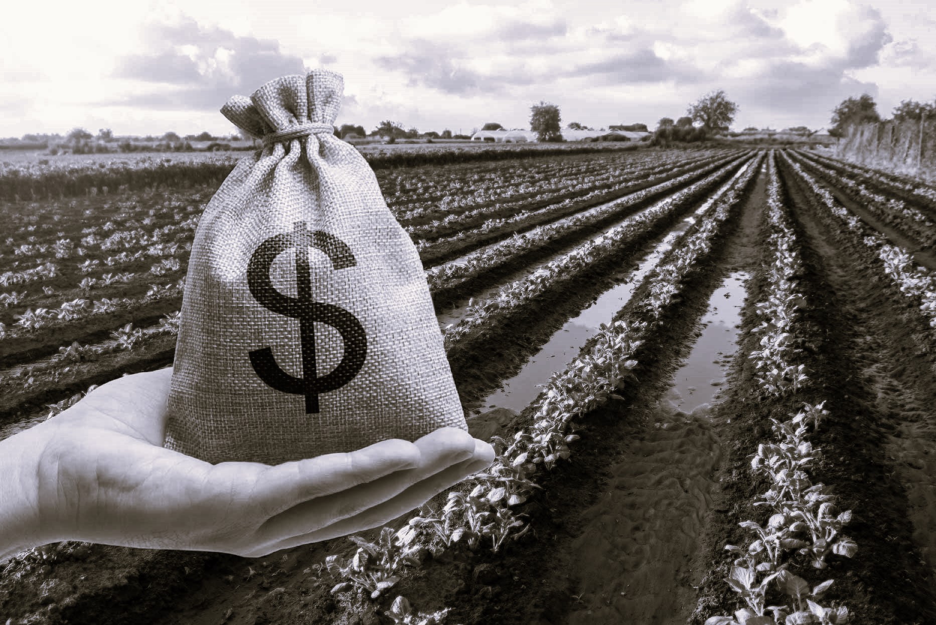 HORTICULTURE-ORGANIC FARMING