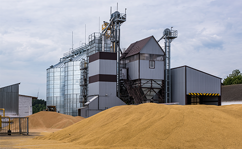 AGRI FOOD PROCESSING