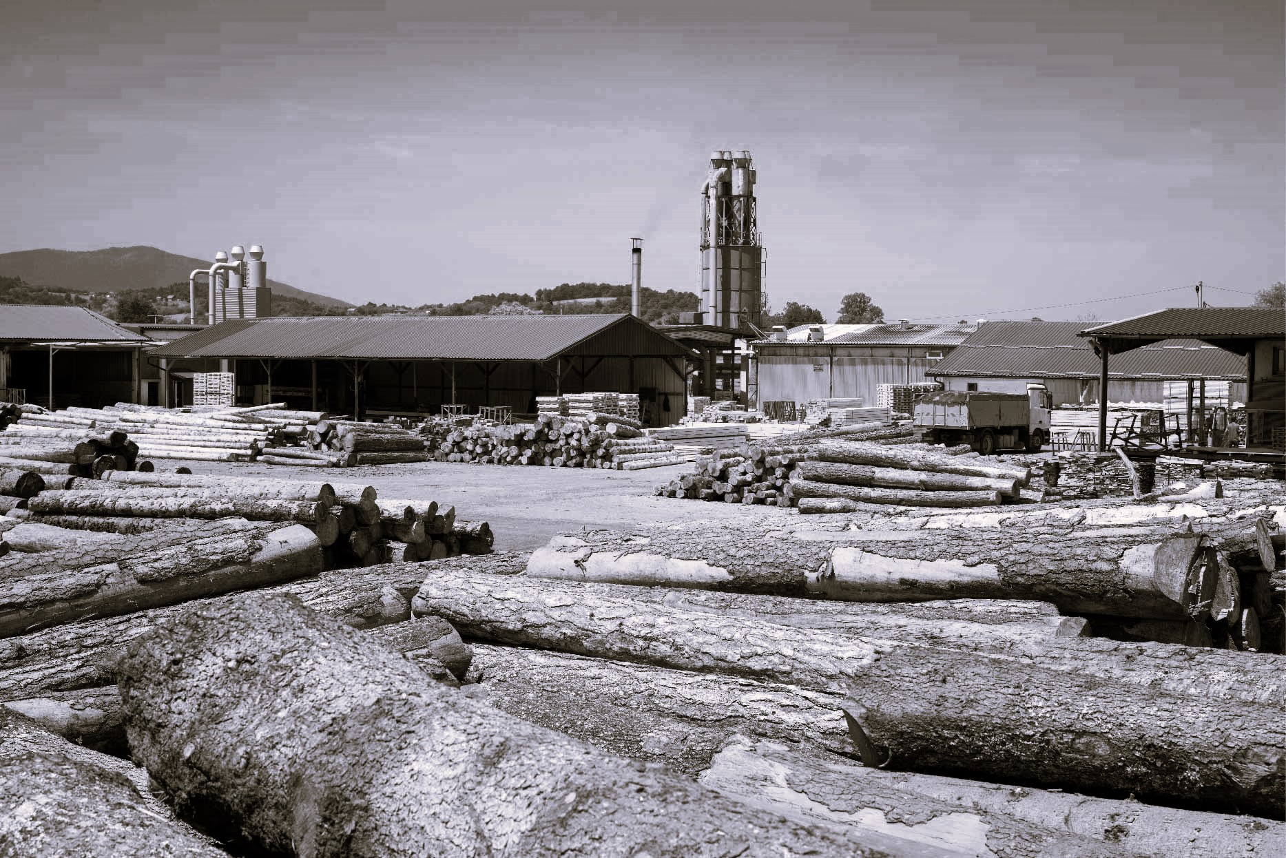 FOREST BASED INDUSTRY